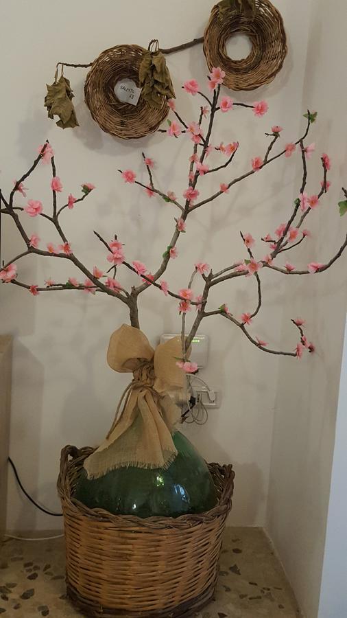 B&B Il Geranio كاليميرا المظهر الخارجي الصورة